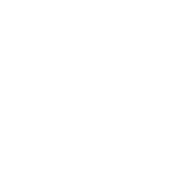 Acompanhamento Profissional